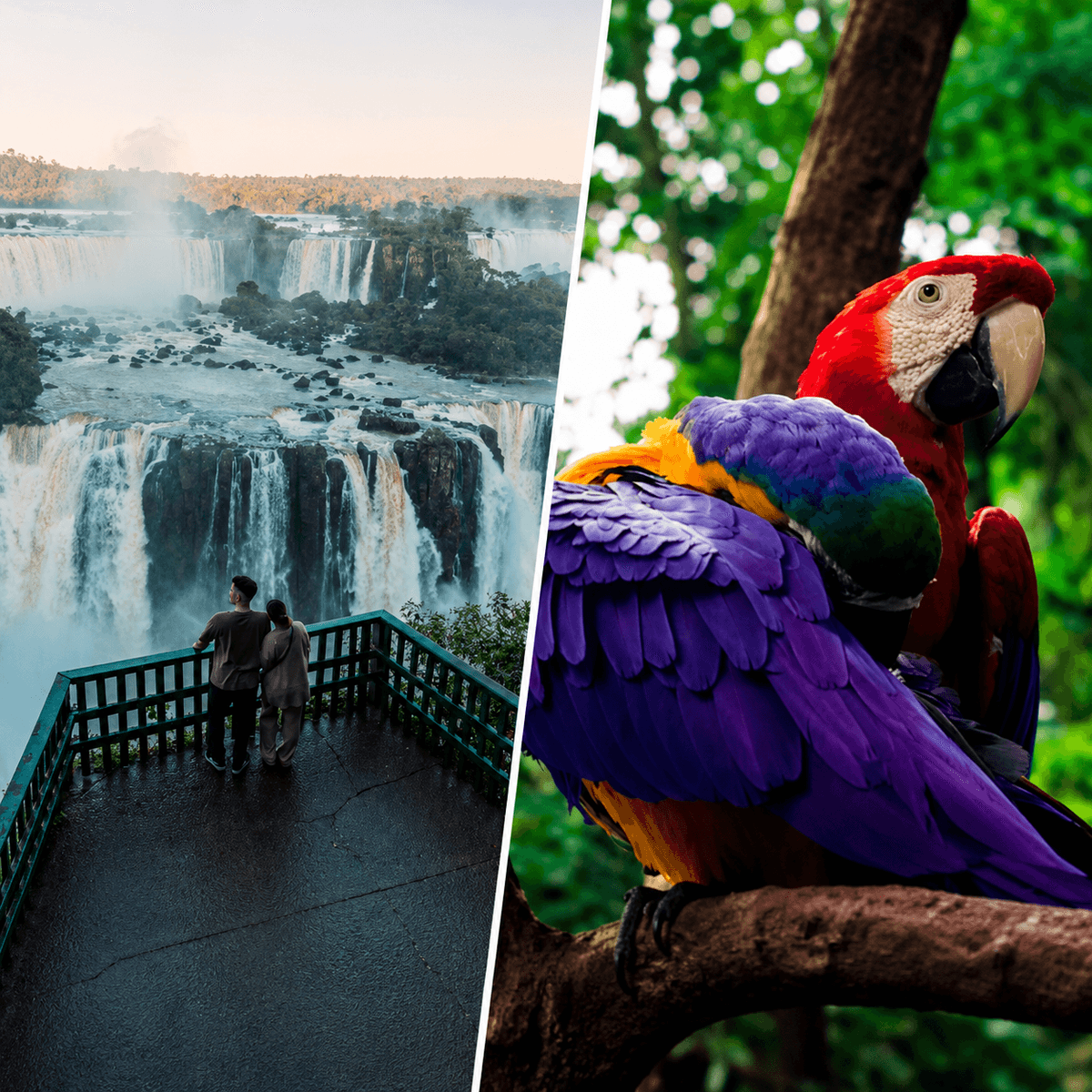 Cataratas do Iguaçu – lado Brasil